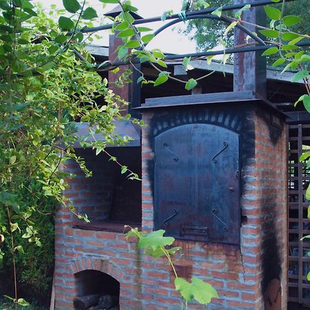 Vila Ljubica Vrnjačka Banja エクステリア 写真